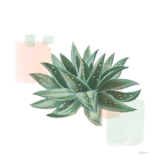 Image Only