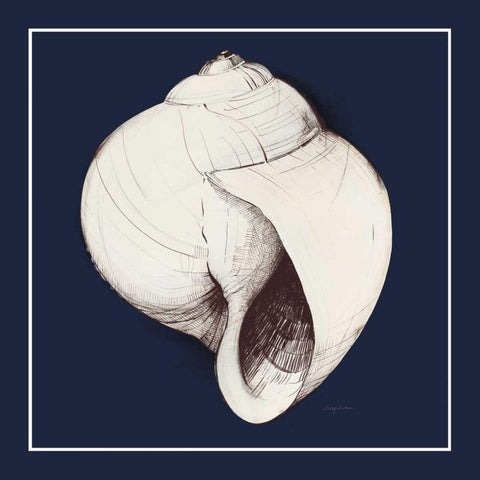 Coastal Shell I with Border Navy Black Ornate Wood Framed Art Print with Double Matting by Tillmon, Avery