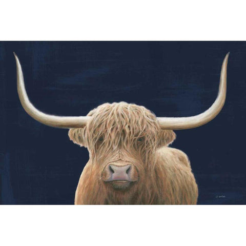 Highland Cow Navy Black Modern Wood Framed Art Print with Double Matting by Wiens, James