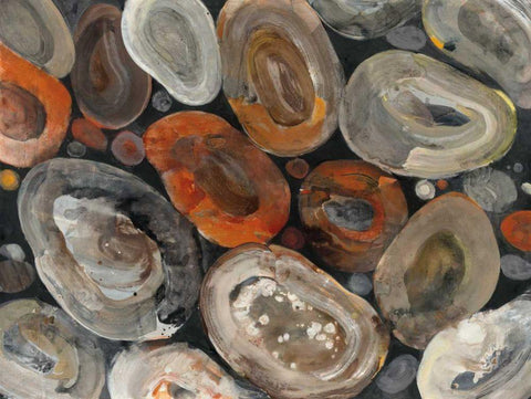 Autumn Rocks Black Ornate Wood Framed Art Print with Double Matting by Hristova, Albena