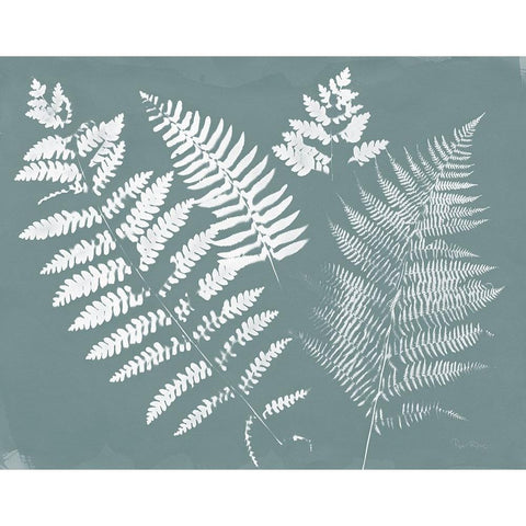 Nature by the Lake Ferns II Gray Mist Crop Black Modern Wood Framed Art Print by Rhue, Piper