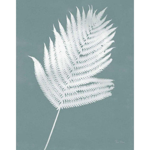 Nature by the Lake Ferns III Gray Mist Crop Black Modern Wood Framed Art Print by Rhue, Piper