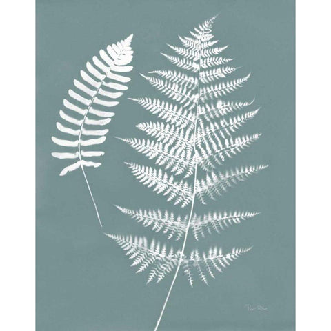 Nature by the Lake Ferns V Gray Mist Crop Gold Ornate Wood Framed Art Print with Double Matting by Rhue, Piper