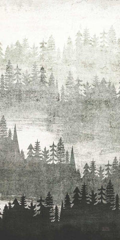 Mountainscape Silver Panel II White Modern Wood Framed Art Print with Double Matting by Mullan, Michael