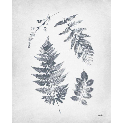 Walk in the Woods I Black Modern Wood Framed Art Print with Double Matting by Hershey, Moira