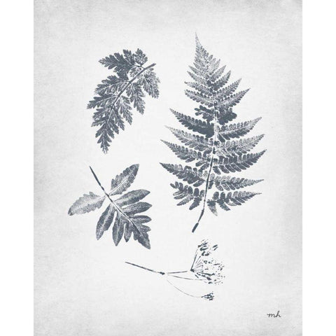 Walk in the Woods II Black Modern Wood Framed Art Print with Double Matting by Hershey, Moira