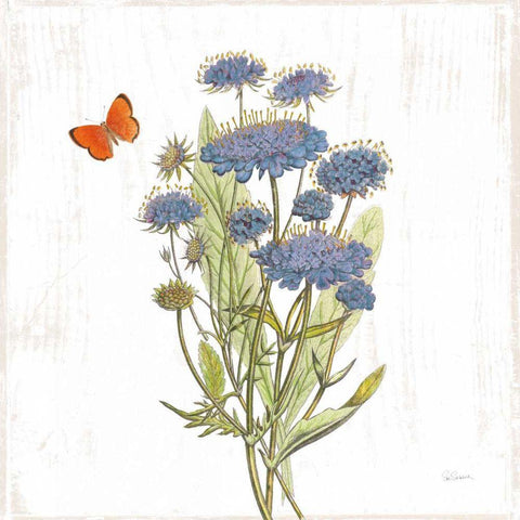 White Barn Flowers IX Sq White Modern Wood Framed Art Print with Double Matting by Schlabach, Sue