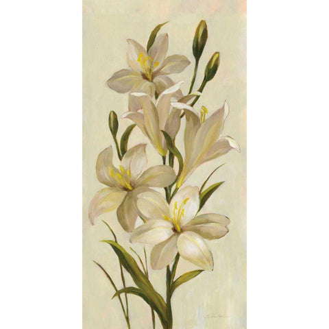 Elegant White Florals I Black Modern Wood Framed Art Print with Double Matting by Vassileva, Silvia