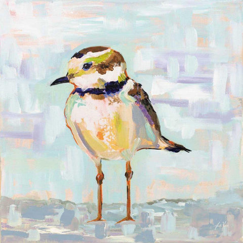 Coastal Plover II Neutral White Modern Wood Framed Art Print with Double Matting by Vertentes, Jeanette