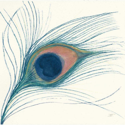 Peacock Feather I Blue Gold Ornate Wood Framed Art Print with Double Matting by Thomas, Miranda