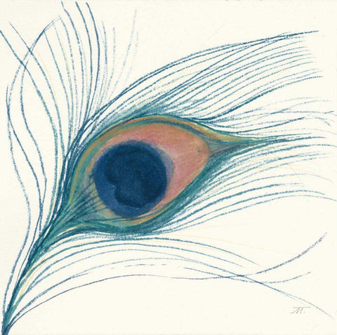 Peacock Feather I Blue Black Ornate Wood Framed Art Print with Double Matting by Thomas, Miranda