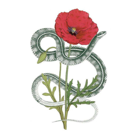 Natural Beauty I Black Modern Wood Framed Art Print by Wild Apple Portfolio