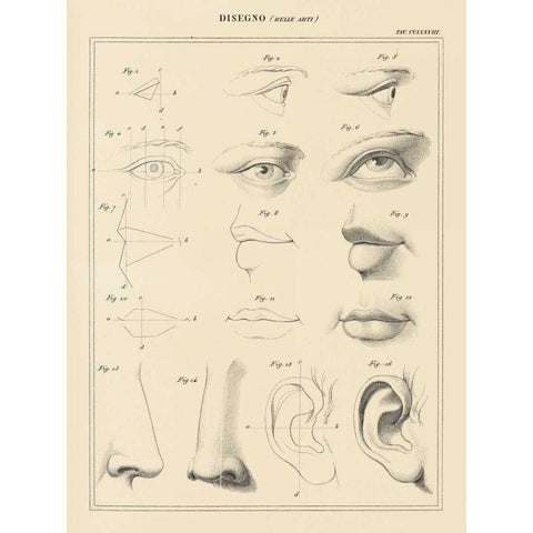 Face Chart Gold Ornate Wood Framed Art Print with Double Matting by Wild Apple Portfolio