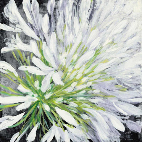 Cleome Splash II Black White Modern Wood Framed Art Print by Purinton, Julia