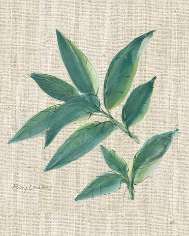 Bay Leaf on Burlap Black Ornate Wood Framed Art Print with Double Matting by Paschke, Chris