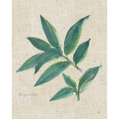 Bay Leaf on Burlap Black Modern Wood Framed Art Print by Paschke, Chris