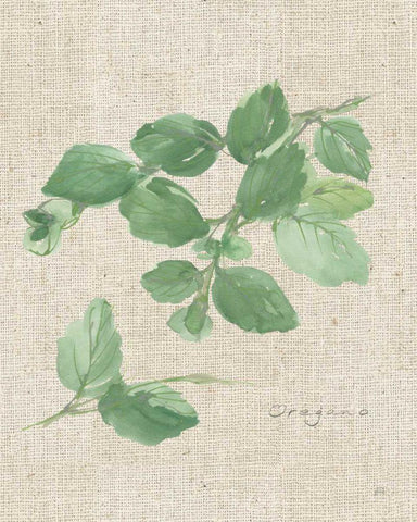 Oregano on Burlap Black Ornate Wood Framed Art Print with Double Matting by Paschke, Chris