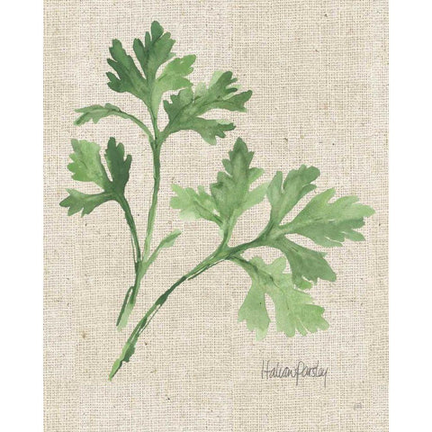 Italian Parsley v2 on Burlap White Modern Wood Framed Art Print by Paschke, Chris