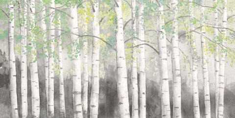 Soft Birches Charcoal Black Ornate Wood Framed Art Print with Double Matting by Wiens, James