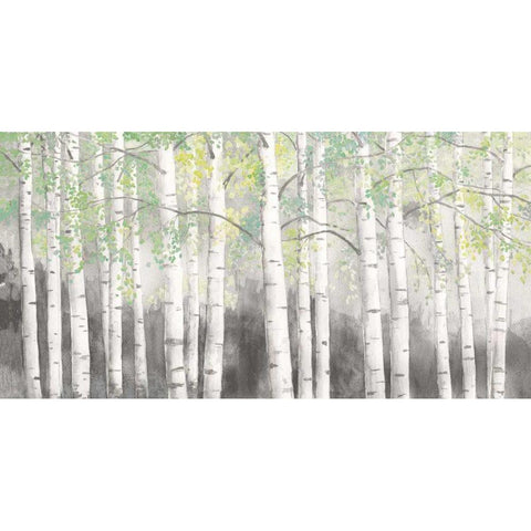 Soft Birches Charcoal Black Modern Wood Framed Art Print with Double Matting by Wiens, James