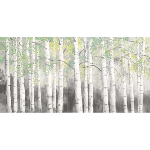 Soft Birches Charcoal White Modern Wood Framed Art Print by Wiens, James