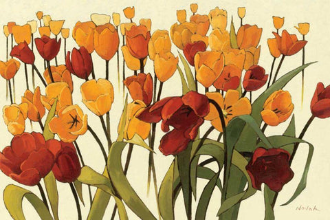 Tulipomania Black Ornate Wood Framed Art Print with Double Matting by Novak, Shirley