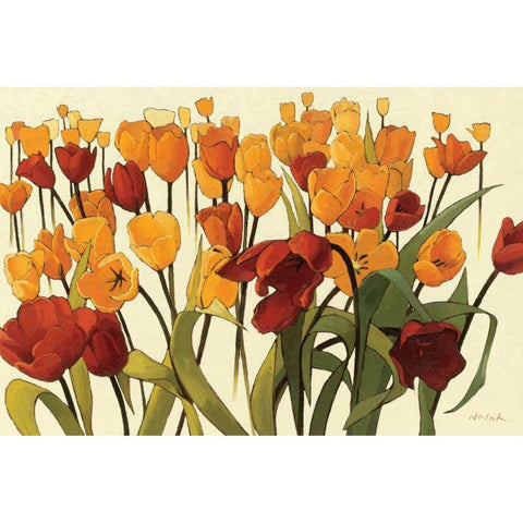 Tulipomania Black Modern Wood Framed Art Print by Novak, Shirley