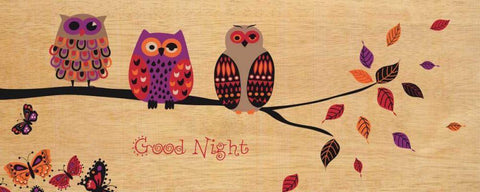 Good Night Owl White Modern Wood Framed Art Print with Double Matting by Wild Apple Portfolio