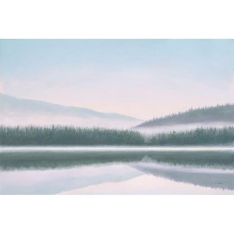 Lakeside Morning White Modern Wood Framed Art Print by Wiens, James