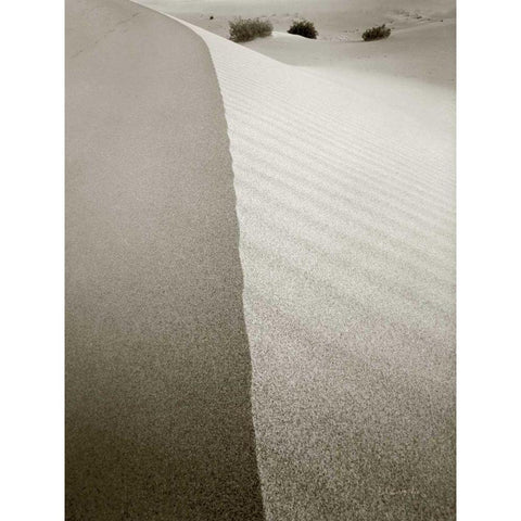 Desert Edge Black Modern Wood Framed Art Print with Double Matting by Goldstein, Ed