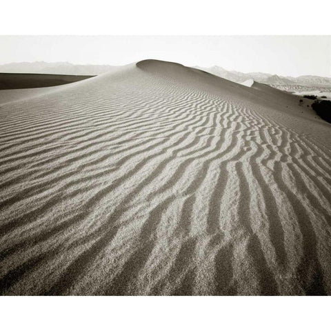 Desert Dunes Black Modern Wood Framed Art Print with Double Matting by Goldstein, Ed