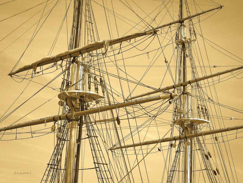 Crows Nest Black Ornate Wood Framed Art Print with Double Matting by Goldstein, Ed