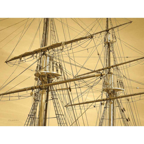 Crows Nest Gold Ornate Wood Framed Art Print with Double Matting by Goldstein, Ed