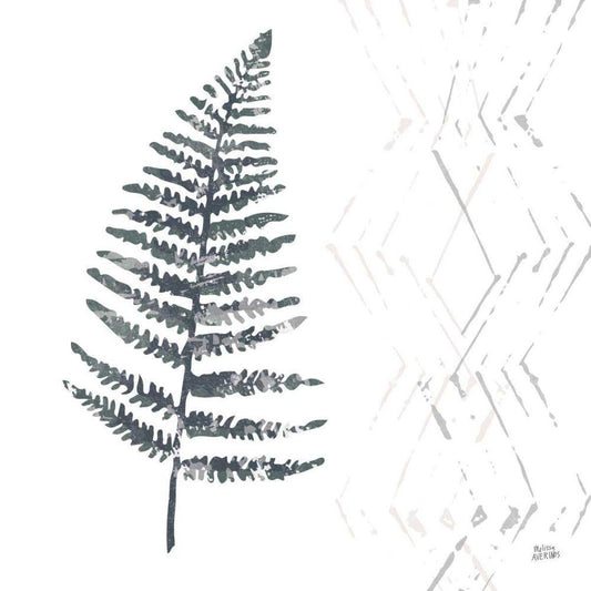 Image Only