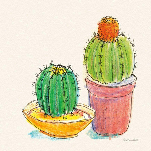 Cacti Garden III Black Modern Wood Framed Art Print with Double Matting by Miller, Sara Zieve
