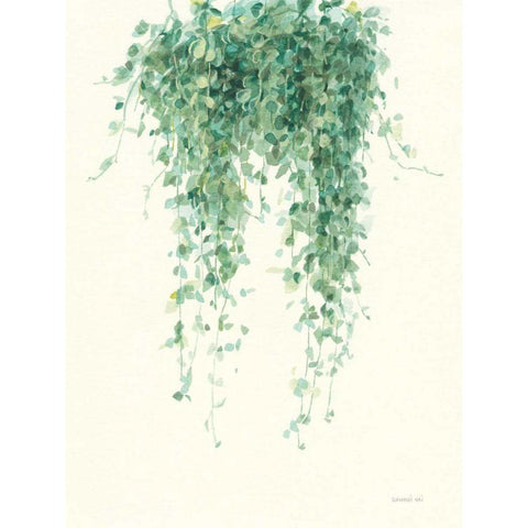 Trailing Vines I Black Modern Wood Framed Art Print with Double Matting by Nai, Danhui