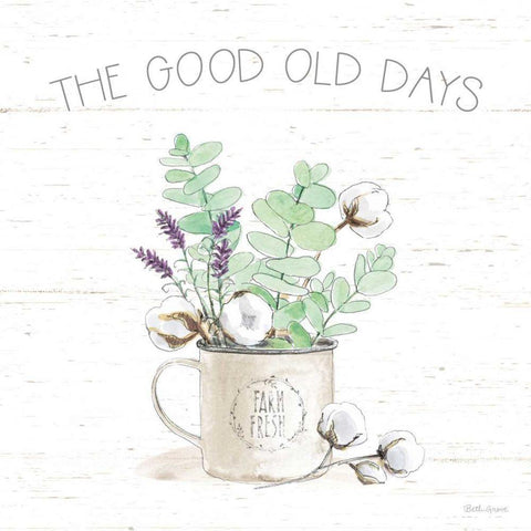 Farmhouse Cotton III Sage Black Modern Wood Framed Art Print with Double Matting by Grove, Beth