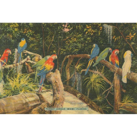 Florida Postcard II White Modern Wood Framed Art Print by Wild Apple Portfolio