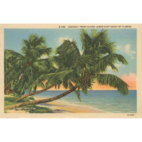 Florida Postcard III White Modern Wood Framed Art Print by Wild Apple Portfolio