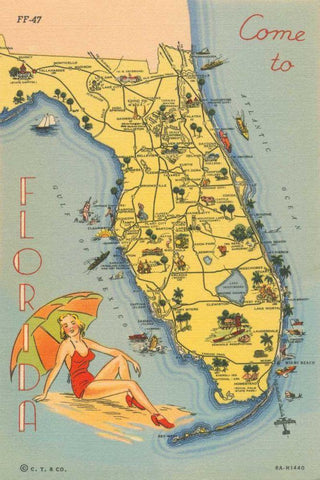 Florida Postcard VI Black Ornate Wood Framed Art Print with Double Matting by Wild Apple Portfolio