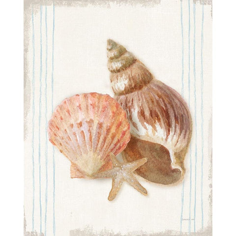 Floursack Nautical Shells I White Modern Wood Framed Art Print by Nai, Danhui