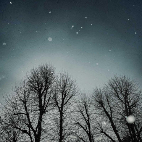 Winter Sky White Modern Wood Framed Art Print with Double Matting by Eichman, Andre