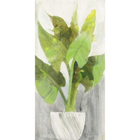 Tropical Planter I Black Modern Wood Framed Art Print with Double Matting by Hristova, Albena