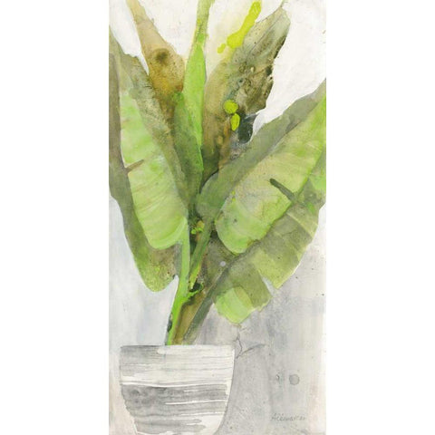 Tropical Planter II Black Modern Wood Framed Art Print with Double Matting by Hristova, Albena