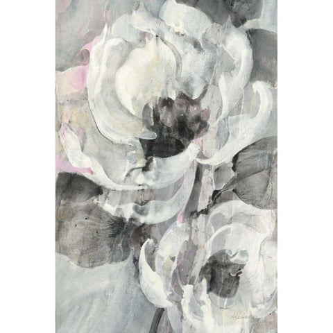 White Delight II Black Modern Wood Framed Art Print by Hristova, Albena