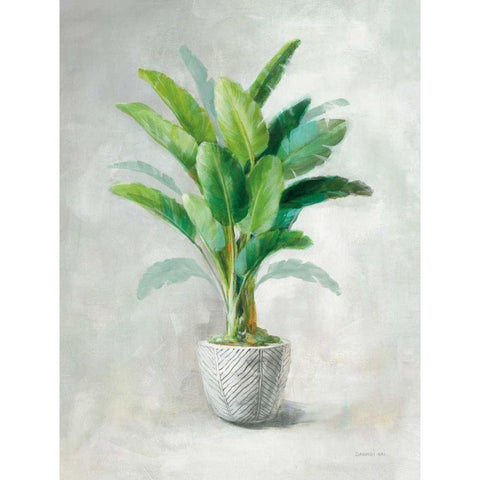 Greenhouse Palm II Black Modern Wood Framed Art Print by Nai, Danhui