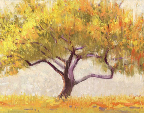 Apricot Tree White Modern Wood Framed Art Print with Double Matting by Novak, Shirley