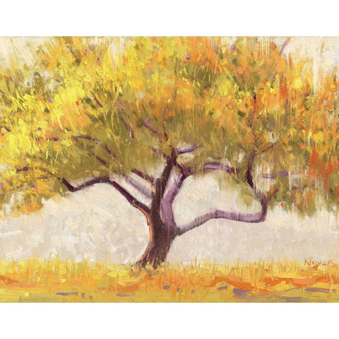 Apricot Tree Black Modern Wood Framed Art Print by Novak, Shirley