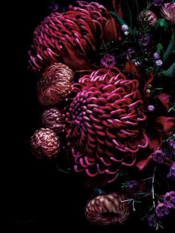 Waratah Bouquet White Modern Wood Framed Art Print with Double Matting by Catterall, Elise