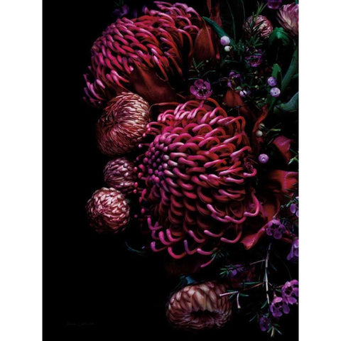 Waratah Bouquet Black Modern Wood Framed Art Print by Catterall, Elise